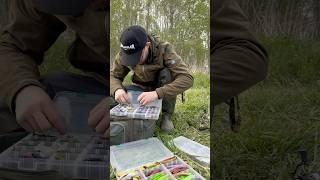 Сколько коробок в итоге? #окунь #fishing #спінінг #рыба #рыбалка #рыбалканаозере #рыболов #озеро