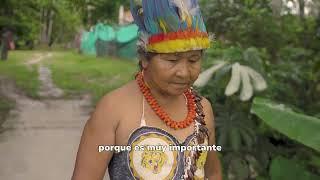 Mujeres que cuidan del territorio, de sus comunidades y del conocimiento ancestral.