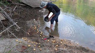 Search for gold in the river and find the treasure of gold nuggets