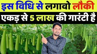 लौकी की खेती कब और कैसे करे | lauki ki kheti kaise kare in hindi | lauki ki kheti machan vidhi se