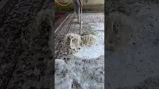 Foam scraping #78#satisfying #asmr #carpetcleaning.