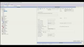 Setting up SIP Trunks on Avaya IP Office