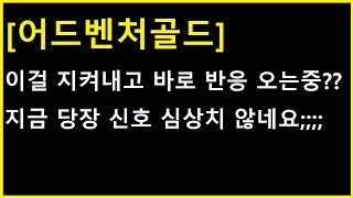 [어드벤처골드 코인] 당장 오늘부터 가능성 ㄷㄷ 심상치 않은 부분과 변수까지 모조리 체크