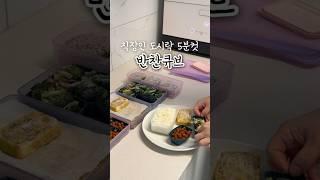 식비절약 | 직장인 도시락 싸기 5분컷 #반찬큐브