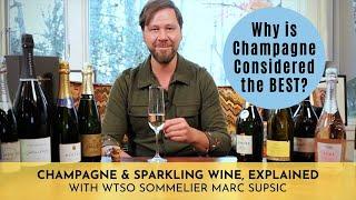 WTSO Sommelier Explains Champagne: The Best Sparkling Wine | Wine Tips 