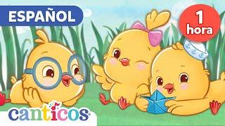 Canticos | Canta, Juega y Aprende | Canciones para niños en español | Pio Pio