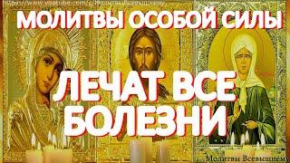 Самые сильные молитвы на исцеление. Господь, Богородица и Матрона помогут при самых тяжелых недугах