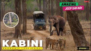 Kabini Forest Safari | JLR Package | Nagarhole Tiger Reserve, Karnataka