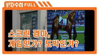 [Full] 스크린 경마, 게임인가? 도박인가?_MBC 2004년 11월 9일 방송