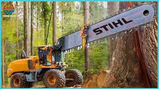 Dangerous Biggest Chainsaw Cutting Tree Machines Skills Tree Felling Climbing