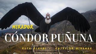 MIRADOR CONDOR PUÑUNA - NARIZ DEL DIABLO