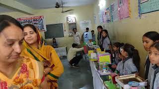 Science fair