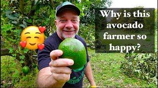 Why I Love Being and Avocado Farmer