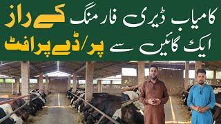 Dairy Farming For Beginners|Mini Dairy Farm Business|Best Dairy Farm