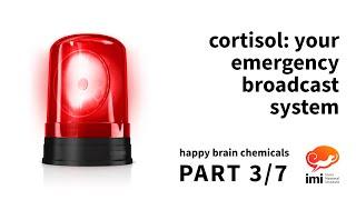 Cortisol: Your Emergency Broadcast System (#3 of 7) - Happy Brain Chemicals