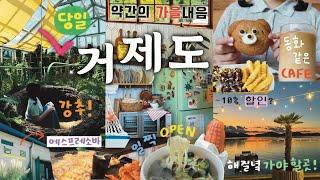 핫플 좋아 커플의! 대구 ▶️ 거제도 당일치기 여행 완벽코스 / 거제식물원, 카페 (짹짹커피, 메리클리프, 온더선셋) 소품샵, 매미성, 바람의언덕 핫도그, 해물칼국수, 목구멍