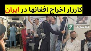 اخراج اجباری افغانها از ایران | کارزار اخراج مهاجرین افغان از سوی ایرانیان