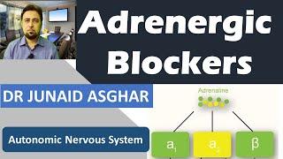 Adrenergic Blockers || Junaid Asghar PhD