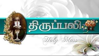  LIVE | 07 JAN 2025 | Holy Mass in Tamil | 06:00 PM (Evening Mass) | Madha TV