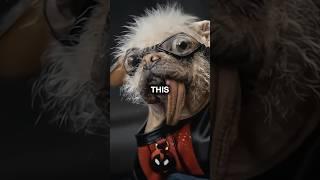 You will never look at Dogpool the Same Way Again #deadpool3 #dogpool #deadpoolandwolverinemovie