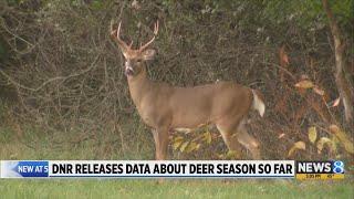 DNR releases data about deer season so far