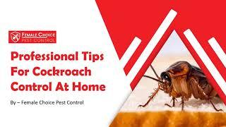 Professional Tips For Cockroach Control At Home | Female Choice Pest Control | Cockroach Control Tip