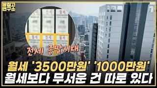 내 집주인이 블루그라운드? 모건 스탠리? 한국 임대시장이 먹잇감 된 이유ㅣ땅집고연구소