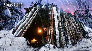 3 Days Alone in DEEP SNOW: Building a Warm Shelter (narrated story)