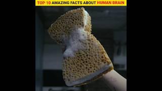 Top 10 amazing and intresting facts about human brain  | in hindi #fact #shorts