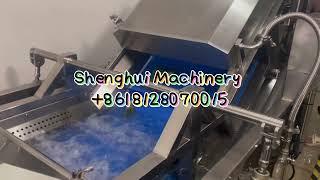 Vegetables washer / fruit cleaning machine