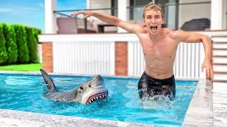 SHARK in my POOL AFTER MAJOR FLOOD!!