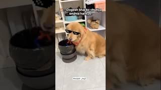 Dogesh bhai vs spider man  dog funny video #dog #shorts #funny #video #trending #manjeetmaurya