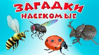 Загадки Насекомые  Для детей  Учим насекомых  Насекомые мультик  Развивающие мультики