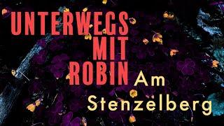 Unterwegs mit Robin – Am Stenzelberg - VLOG