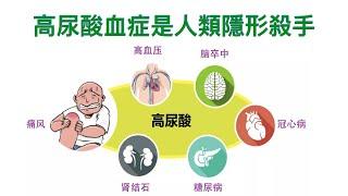 高尿酸血症是人類隱形殺手、把自身尿酸含量降低到最安全的水平