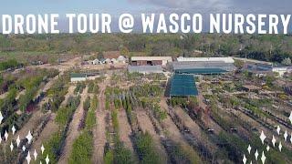 Garden Center Drone Tour // Wasco Nursery