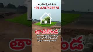 Prime Open Plots for Sale in Tadikonda || Land for Sale in Tadikonda || Call: +91 8297475678