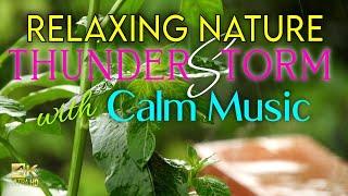 Relaxing Nature Thunderstorm with Music [The Mind Relax Zone]