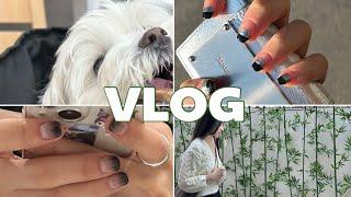 20대 7년차 네일샵원장 vlog ( 애견동반네일샵 , 셀프네일 , 퇴근후일상 , 키즈네일 , 2월 이달의아트)