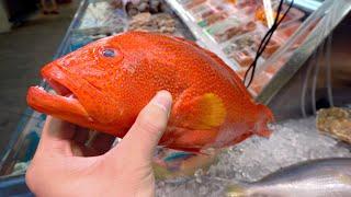 Japanese Street Food(2019) S01Part.6 Leopard Coral Trout Grouper Sashimi 东星斑刺身 Seafood Fish Cutting