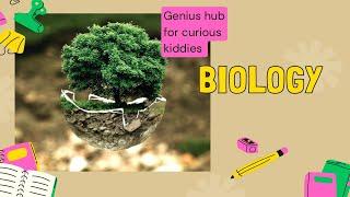 Let’s Explore Biology