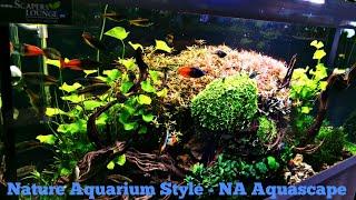 Natureaquarium Aquascape by Balbi Vaquero  | Dragonskin Driftwood | Rotala H‘ra