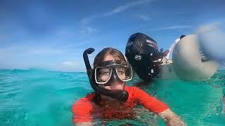 Snorkeling at Green Cay, Bahamas