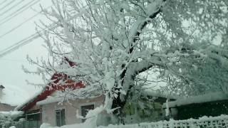 Broken branches and trees on the road in morning in spring day