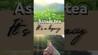 ️The story of Assam tea.. #assamtea #thaluwa #chai #supportlocal