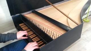 Paul Cienniwa plays Handel: Sarabande (G minor)