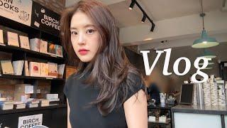 vlog. 점심 도시락 싸는 직장인 일상/출근룩 • PT 등록 • 운동/식단 다짐 • 먹깨비(마라샹궈/고추장 짜글이/키토김밥)