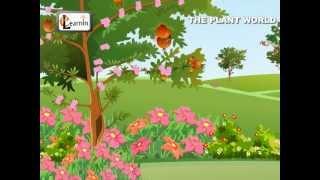 Learn About Plants | The Plant World | Elementary Science | Elearnin