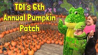 Checking out the BEST Reptile Pumpkin Patch at Tye-Dyed Iguana! (PART 1) 