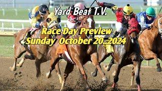 RACE DAY PREVIEW /Sunday 20. Oct.2024.| YARD BEAT T.V.